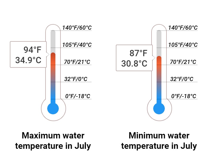 Average Sea temperature